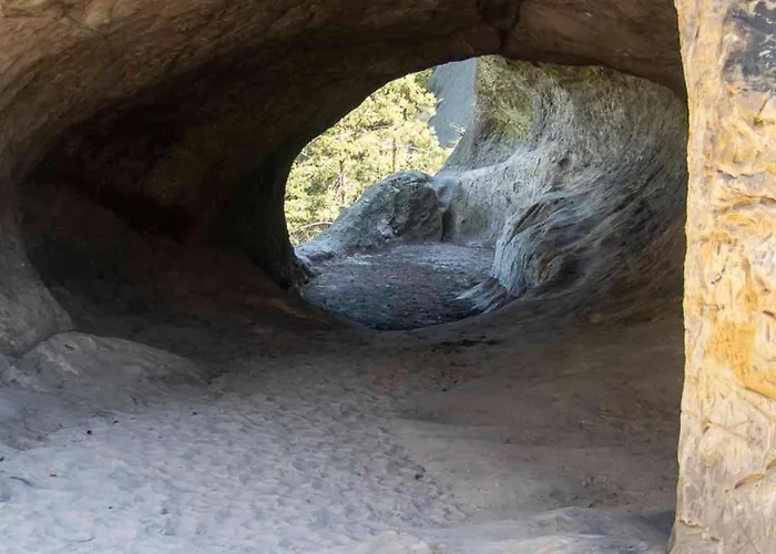 Wanderkoenig Mit Terrasse Appartamento *